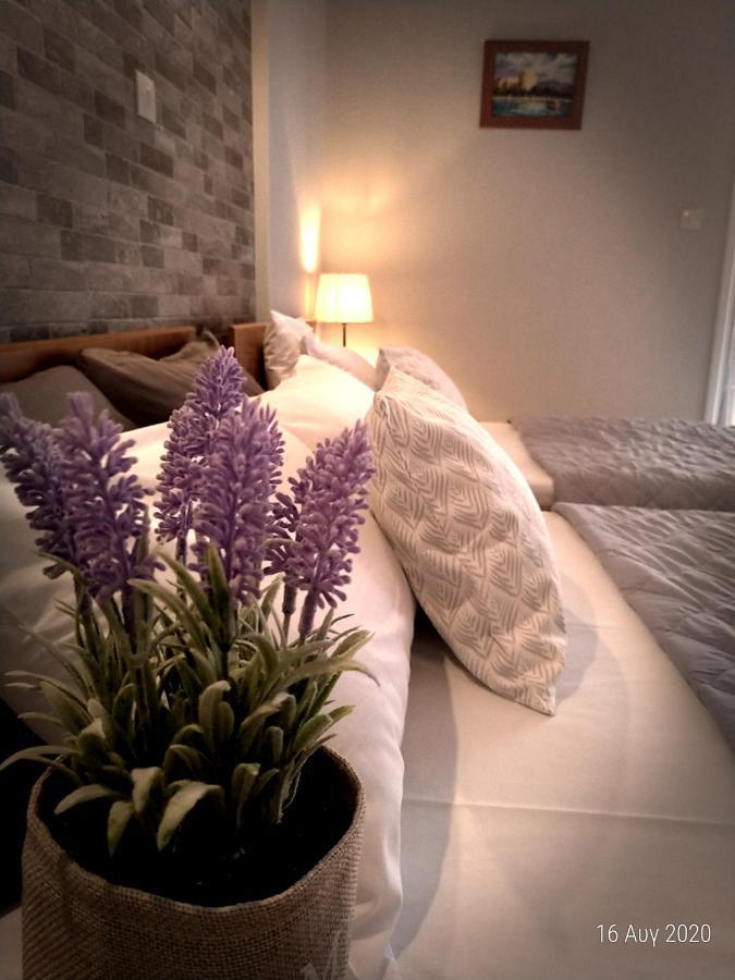 Adonis Apartments Paralía Extérieur photo